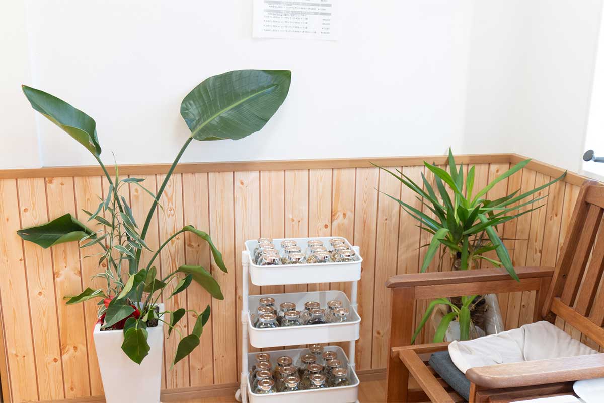 ハーブリーディング