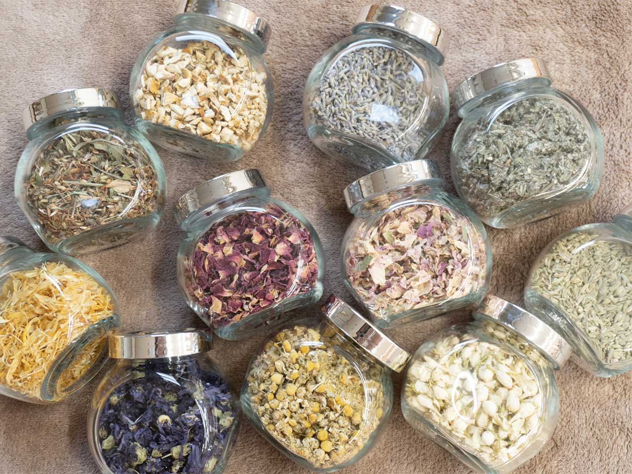 ハーブリーディング